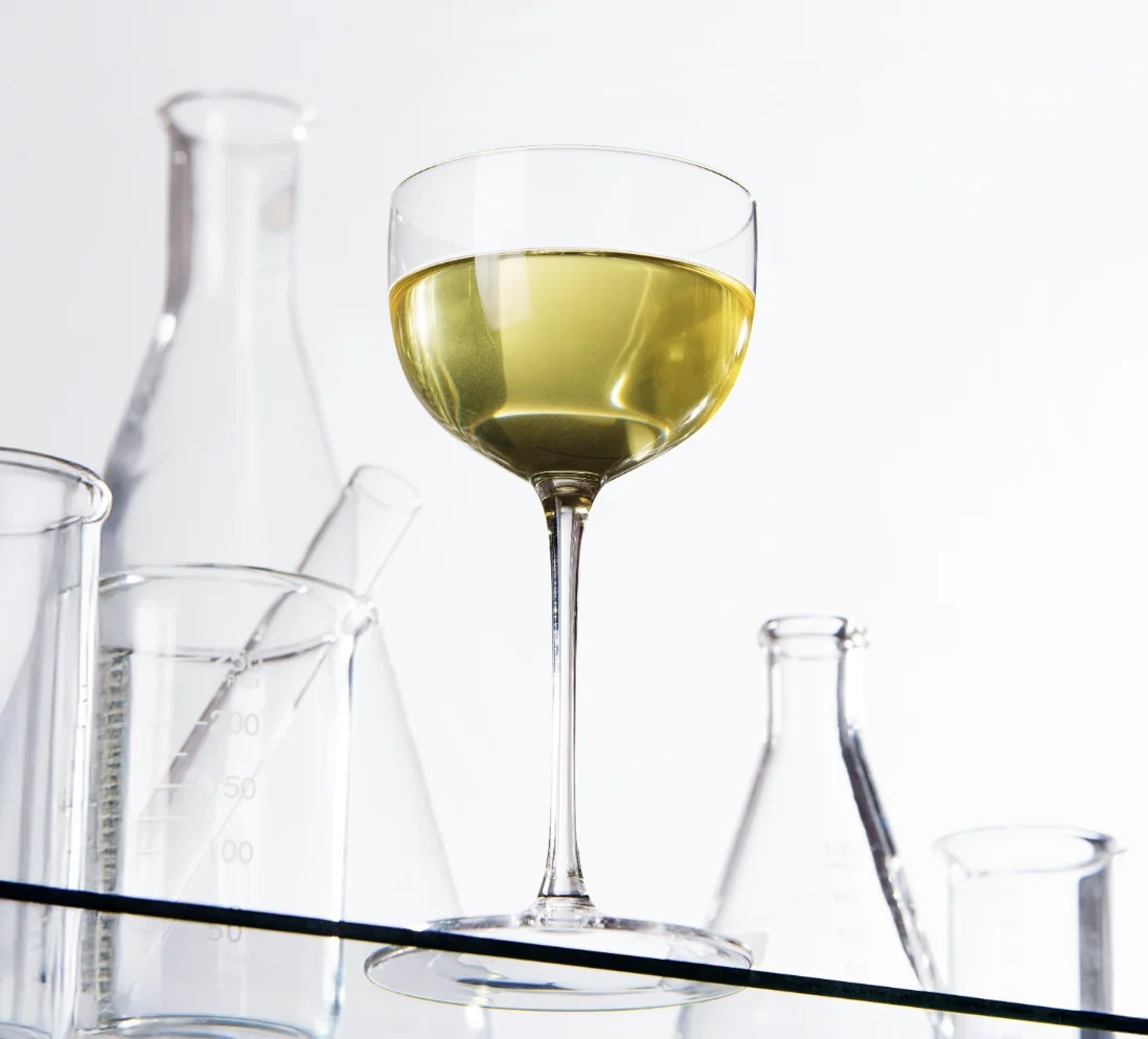 Captura de pantalla 2026-01-05 a las 11.48.11 a. m.