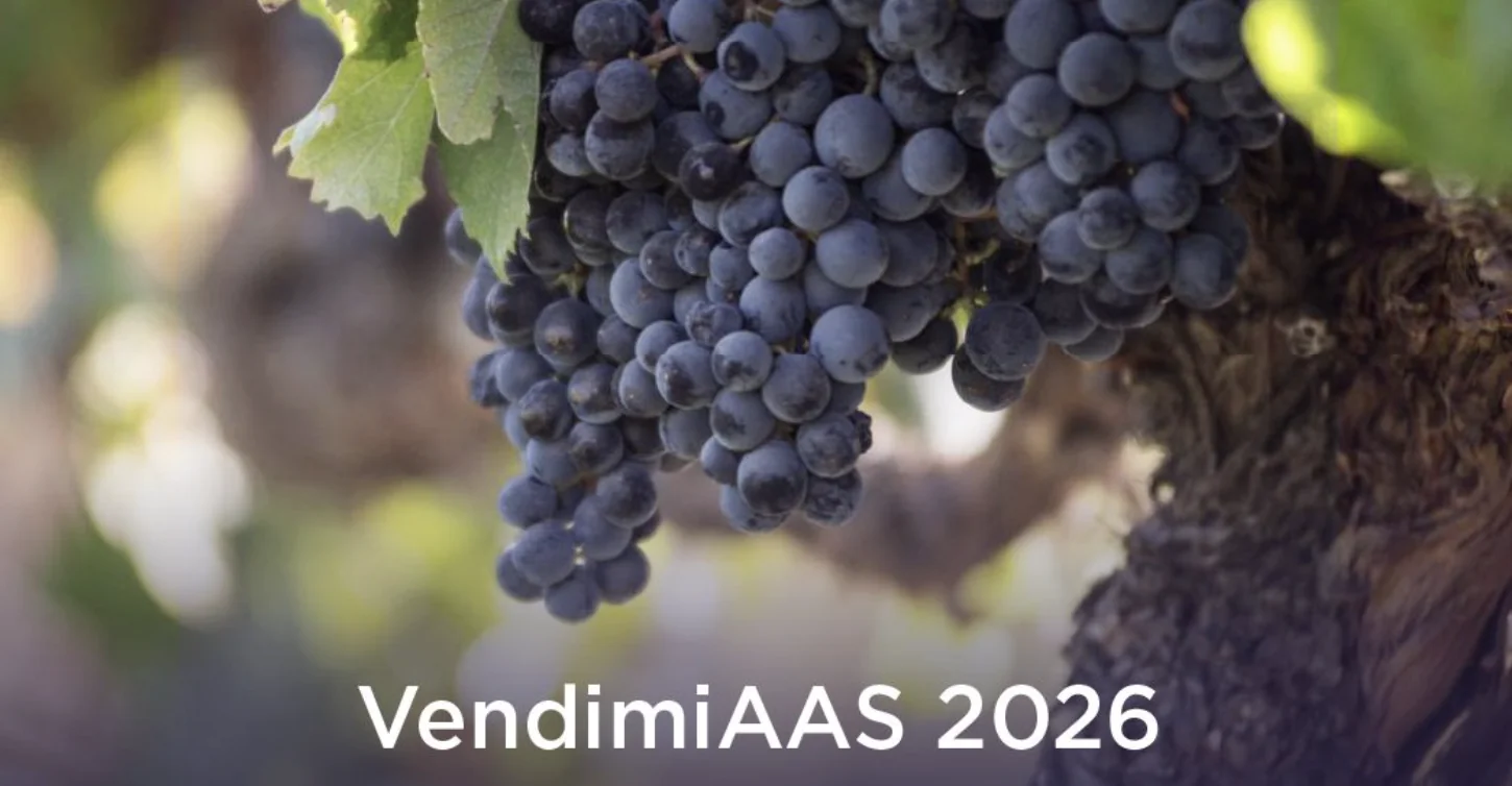 Captura de pantalla 2026-02-20 a las 12.14.04 p. m.