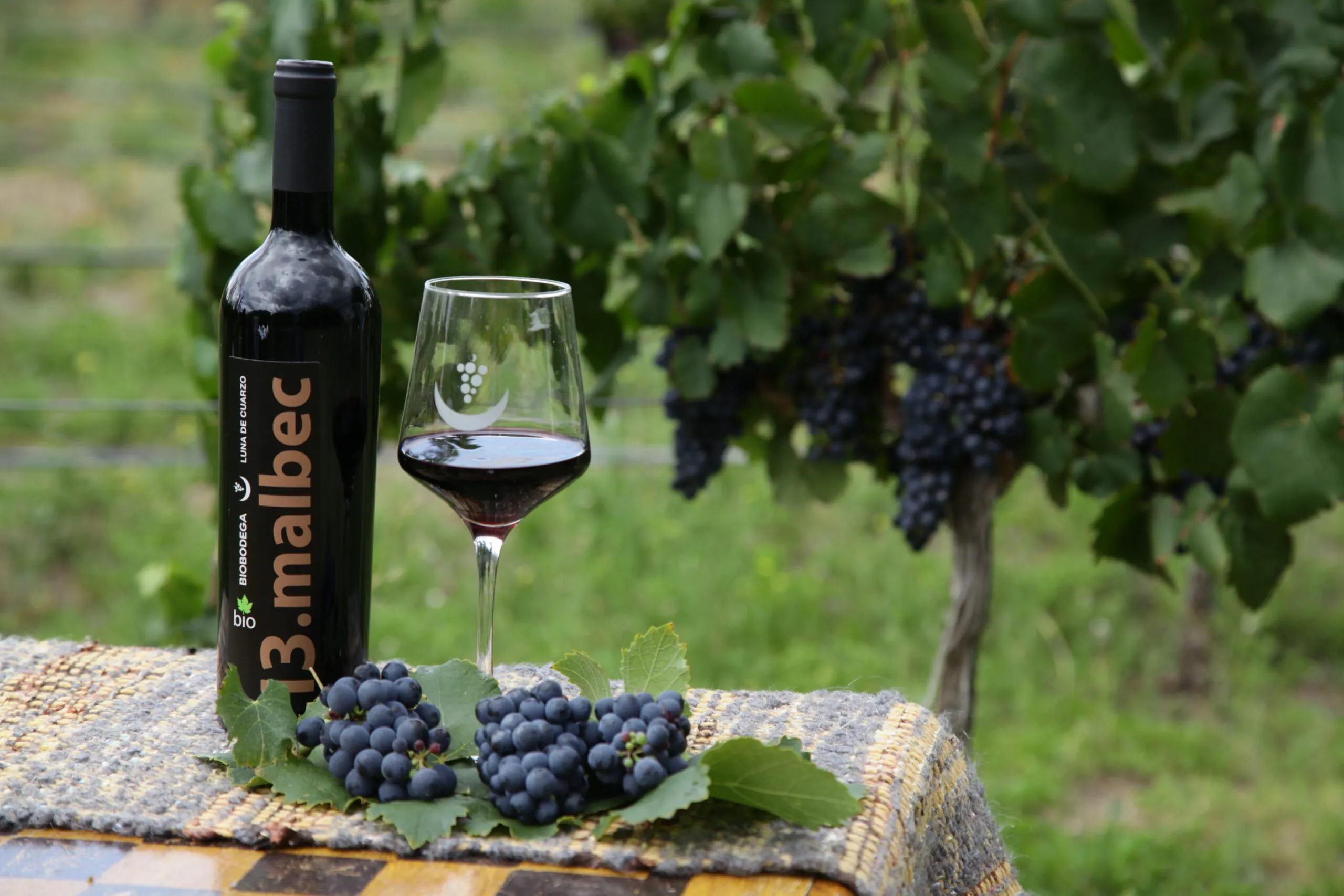 Bodega Luna de Cuarzo